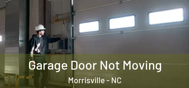  Garage Door Not Moving Morrisville - NC