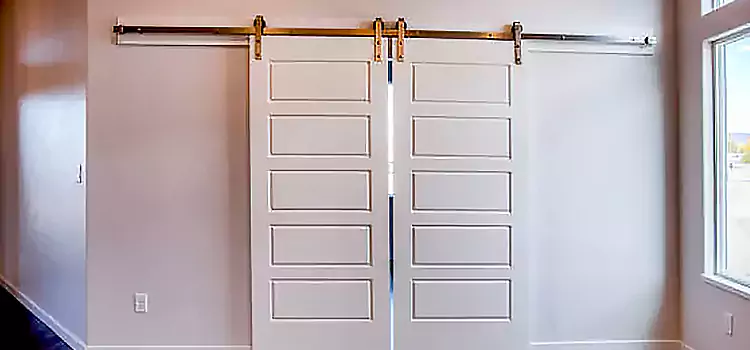 Glass Barn Door with Installation Hardware Kit Morrisville