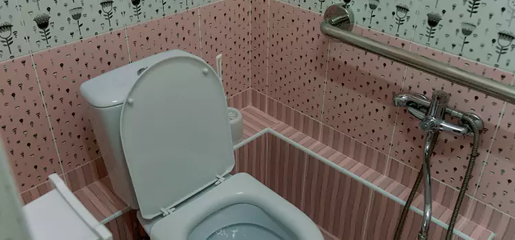 Meeting Diverse Needs With Accessible Restroom Solutions in Morrisville, NC