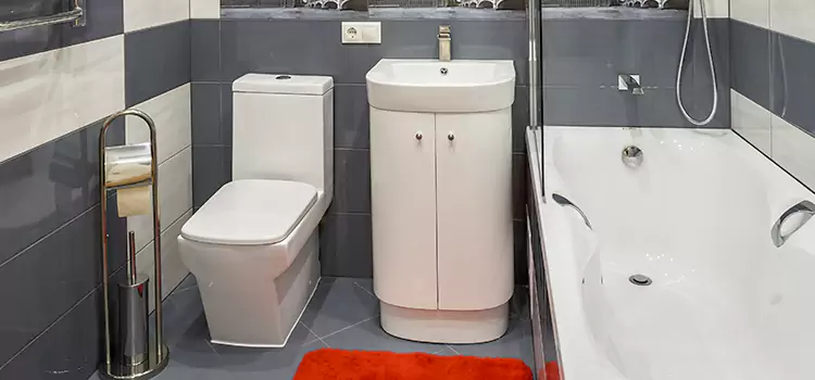 Hansgrohe Shaving Mirror Morrisville