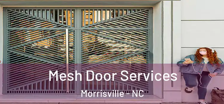  Mesh Door Services Morrisville - NC